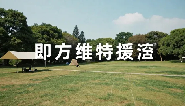 内容创作中选型关注点对结果的影响原因